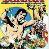 Tarzan 34 Verlag Hethke Nachdruck