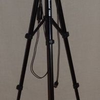 P UBeesize TR50 Stativ 110cm Telefon und Kamerastativ + Ringlicht 25cm ohne Zubehör