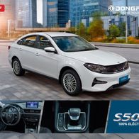 Dongfeng S50 EV ( Chile ) 202? , 2 Seiten