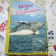 Beilage Wale und Delphine aus Heft 12/92