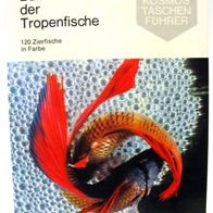 Buch - Bunte Welt der Tropenfische - Waltraud Weiss - 1970