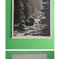 Bildkalender "Freude im Jahr 1952" - Gebirgsbach im Tannenwald - (D-H-Motiv008)