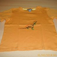 T-Shirt für Jungen * Dinosaurier * , H&M, Orange, zum Spielen & Toben, Gr. 110