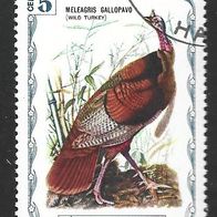 Haiti Cinderella Sondermarke " Vögel " Michelnr, 1985 o