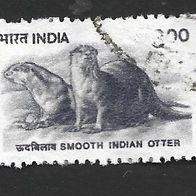 Indien Freimarke " Otter " Michelnr. 1771 o
