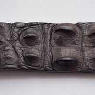 Gürtel aus Krokodil-Rücken
