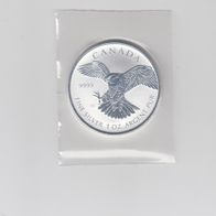 5 $ 2016 Wanderfalke Kanada