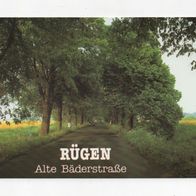 Rügen Alte Bäderstraße