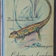 Das kleine Buch v. Schlangen, Echsen und Lurchen" Bildband & Doku aus 1952 !!!