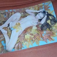 Frau Akt künstlerische Aktfotografie A4+ Laminat Milania