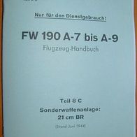 Beschreibung Fw190 (Sonderwaffen) 1944