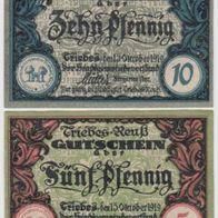 Triebes-Notgeld 5,10 Pfennig vom 15.10.1919, 2 Scheine