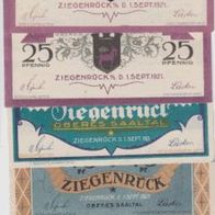 Ziegenrück-Notgeld 25,25,50,75,75 Pfennig vom 1.9.1921, 5 Scheine