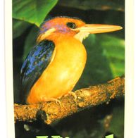 Buch - Vögel - Farbige Welt - Goldmann - 1978 - gut erhalten