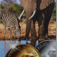 Folder 2026 Aufklappbar ! zum African Wildlife Elefant 2026