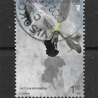 031) Bosnien-Herzegowina 2004 Blumen Mi. Nr. 340 gestempelt