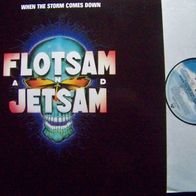 Flotsam & Jetsam - When the storm comes down - ´90 MCA Lp - mint !