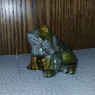 Frosch - Kröte