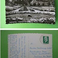 Harz, Ilsenburg, Friedenspark, Waldhöhe - [1962] - (D-H-D-SAh85)
