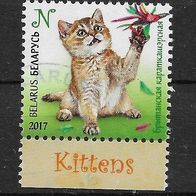 04) Belarus 2017 Katze Mi. Nr. ? gestempelt