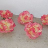 Rosenblütenköpfe