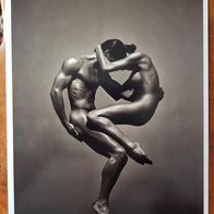 Foto-Ikonen herausragender Künstler Andreas H. Bitesnich