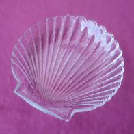 Glas Schale Muschel "Arcoroc" 14 cm Teller Seifenschale Deko klar Jacobs Ablage