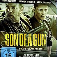Son of a gun