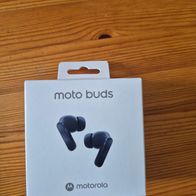 Motorola Buds