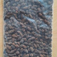NEU Erlenzapfen ca. 700-1200 Stk 215g getrocknet & entstielt 0,8 - 3 cm 2023/24