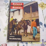Roland Roman Nr. 35