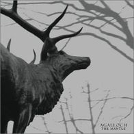Agalloch - The Mantle 2002 Grau!