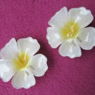 2er Haarclip Glitzer Haar Blüte weiß Haar Spange Klammer Hawaii Blume Kralle Clips