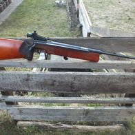 Luftgewehr Haenel 312 Seitenspanner, DDR