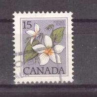 Kanada Michel Nr. 745 gestempelt (5,7,8)