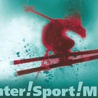 Broschüre Winter!Sport!Museum! Mürzzuschlag 2011 Steiermark Ski Alpin Schi öSV