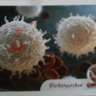 Bild 32 - Globus Die Reise durch unseren Körper