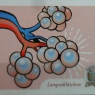 Bild 40 - Globus Die Reise durch unseren Körper