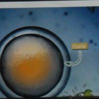 Bild 145 - Globus Die Reise durch unseren Körper