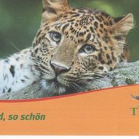 Tierpark Hagenbeck Hamburg Eintrittskarte 056510 vom 13.10.2011