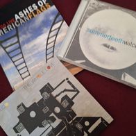 Wilco (Alt Country) - 2 CDs & 1 DVD (Summerteeth, The Whole Love, Ashes of American