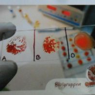Bild 31 - Globus Die Reise durch unseren Körper