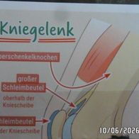 Bild 60 - Globus Die Reise durch unseren Körper