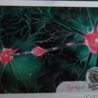 Bild 69 - Globus Die Reise durch unseren Körper