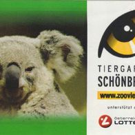 Tiergarten Schönbrunn Wien Koala Eintrittskarte 0020471 vom 03.10.2007