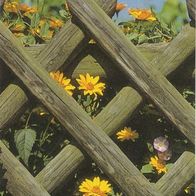 Lesezeichen mit Spruch und Foto von einem Zaun mit Blumen