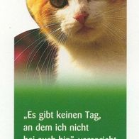 Lesezeichen mit roter Katze und zwei Texten 16,4 x 5,2 cm
