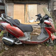 Kymco Grand Dink 125 - Ersatzteilspender! - ganze Maschine - HL