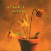 Laß´ den Kopf nicht hängen... AK Deutsche Post Ansichtskarte