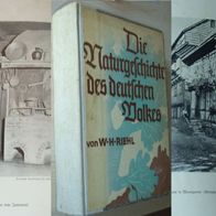 Deutschland 1935 Naturgeschichte des deutschen Volkes Riel